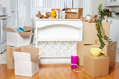 Man with van removal service helping with a residential move in Homerton