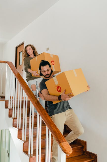 A young woman and a young boy are carrying household items down a narrow staircase inside a home. The woman is holding a medium-sized cardboard box, while the boy is carrying a potted leafy plant and a small stack of books. The staircase has dark treads and a black handrail, with white walls and a partially visible door at the top leading to an outdoor area with a window and black window frame. The interior lighting includes a wall-mounted light fixture, illuminating the space as they carefully navigate the confined stairway, supporting the home relocation process. This scene captures the ongoing packing and moving tasks involved in furniture transport and packing during a house removal, and the environment appears clean and well-lit, highlighting the careful handling of household items as part of the removal service provided by Man with Van Homerton.